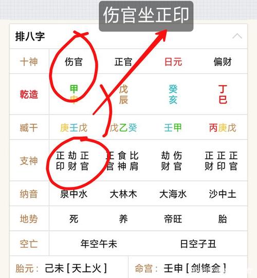 四柱年柱《伤官坐印》六亲寓意