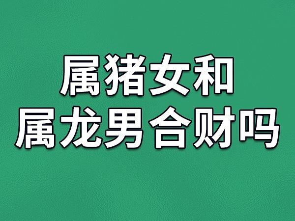 龙与兔事业合作怎么样属龙和属兔合作生意怎么样花胶养生(属猪与属龙)