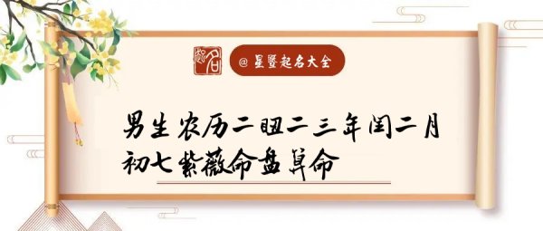 紫微命盘喜欢安静(紫微斗数命盘排盘)