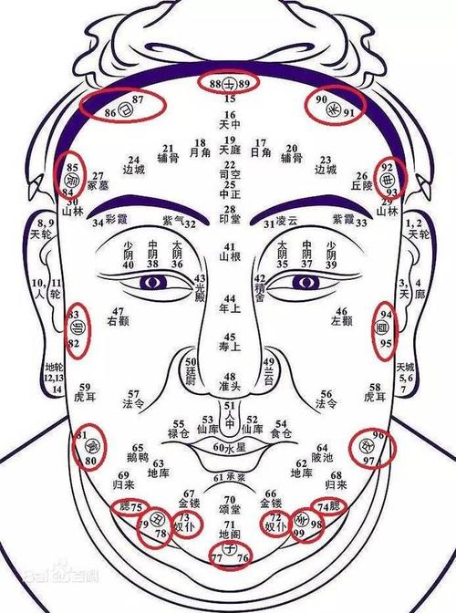 人可活八十的面相(燕子没有你我可怎么活台词)