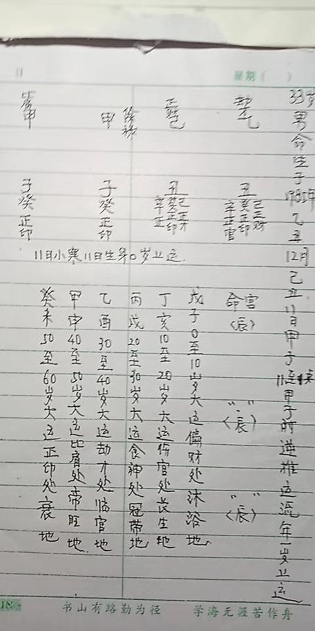 1985年12月出生,生肖牛命理分析,生辰八字乙丑年巳丑月甲子日甲子时