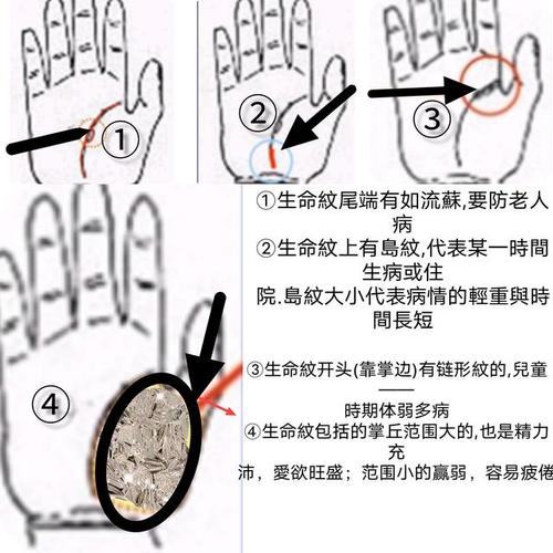 18以下不能看手相