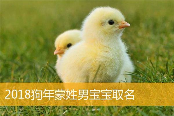 2月狗宝宝起名列表 2月份的狗宝宝好不好