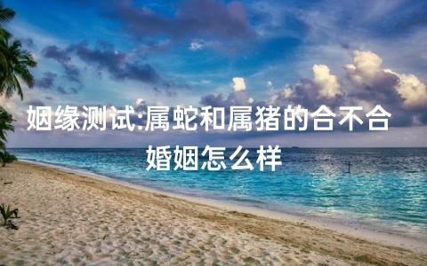 姻缘测试:属蛇和属猪的合不合 婚姻怎么样