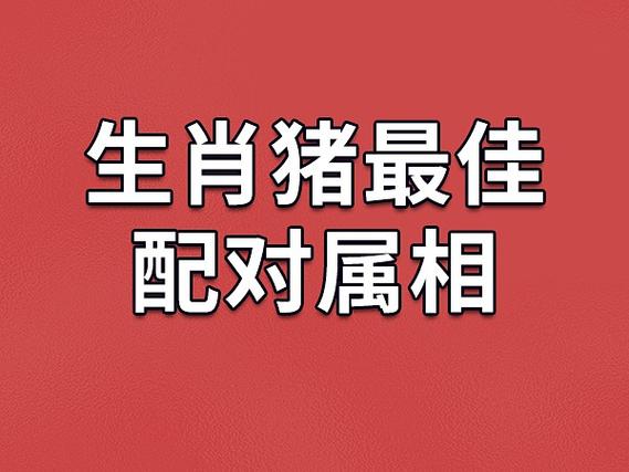 属猪人性格脾气不错,稀里糊涂,神经大条,平时心思很单纯属龙和什么