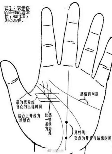 生命纹的长短并不代表寿命的长短,而是代表生命力的强弱,所以生命纹