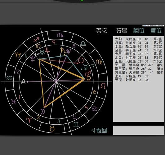 请高手帮我解答一下这个星盘.