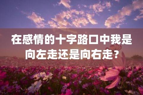 在感情的十字路口中我是向左走还是向右走