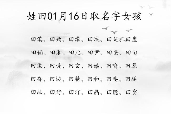 姓田01月16日取名字女孩宝宝起名姓田一字有什么好名字