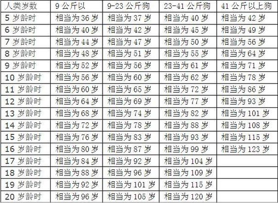 属狗年份表和年龄和属性