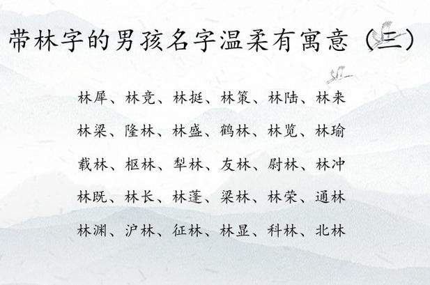 带林字的男孩名字温柔有寓意 带林的小男孩名字_有才起名网