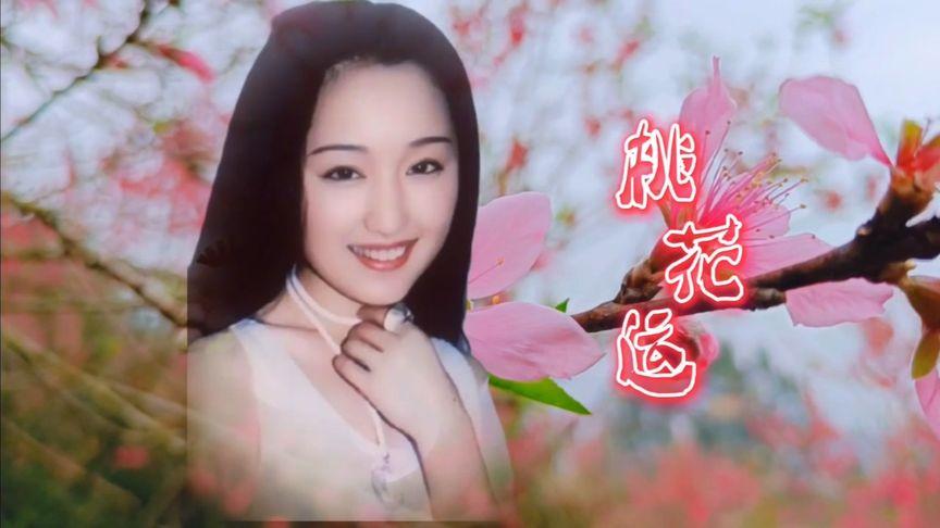 杨钰莹桃花运歌曲原唱