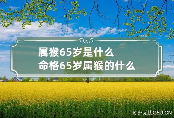 属猴65岁是什么命格 65岁属猴的什么命