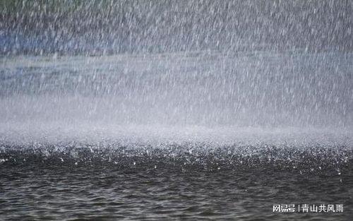 下雨与财运(夏雨雨个人资料)