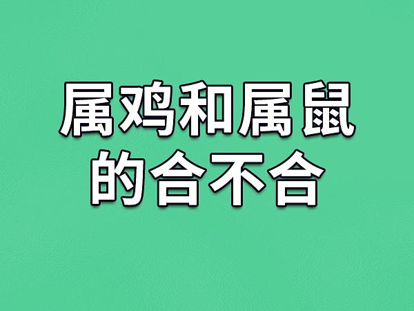 属鼠和属鸡相配吗(属鼠和属鸡为啥是断头婚)