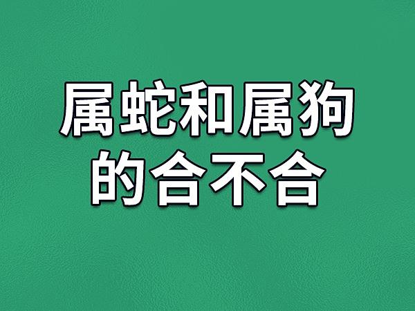 属狗和属蛇的合财吗 狗与蛇相生还是相克