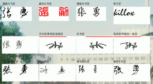 张勇八字 张勇怎么样