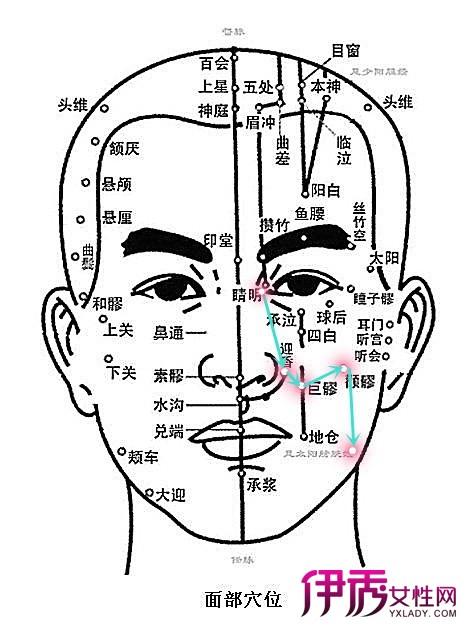 【脸部经络图解大图】【图】脸部经络图解大图 脸部刮痧疗法(2)_伊秀