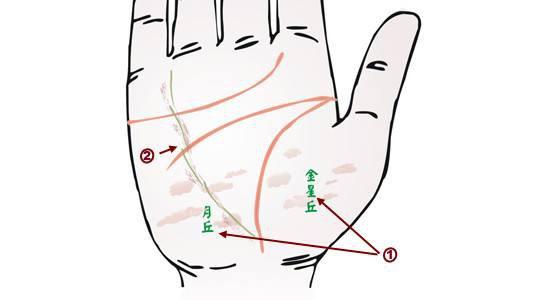 命运中最差手相有几种特点? _ 乾坤网(原易灵算命网)手机版