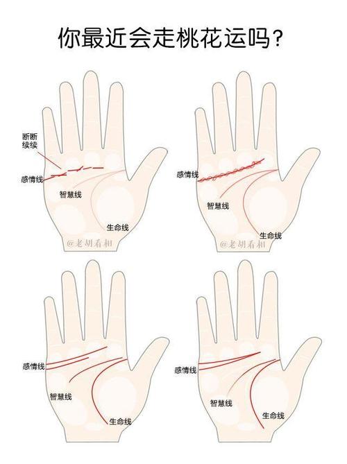 从手指流纹看桃花运势1只有小拇指为流八字手相(桃花运手相)