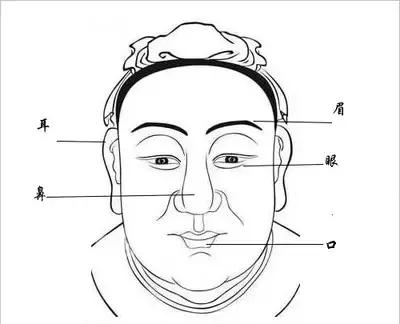 人体五官是什么部位人体五官部位及富态解说