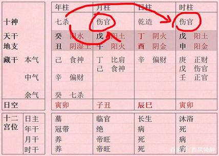 八字伤官合杀格 伤官合杀的八字