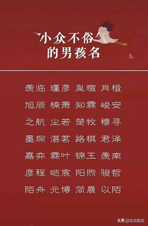 宝宝起名思博(宝宝发烧反反复复怎么回事)