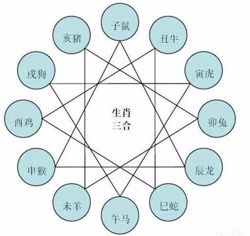 生肖相冲被家人反对 因属相不合父母反对是什么意思?-神机妙算网