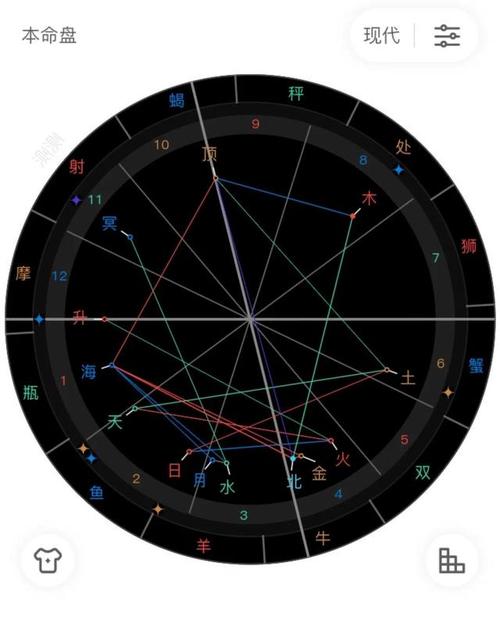 如何知道自己的星盘(如何查看自己的星盘免费)
