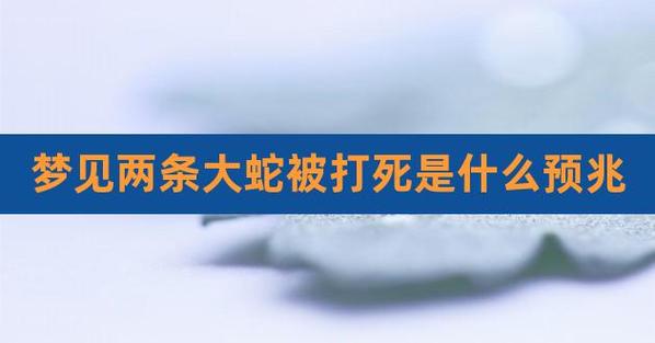 梦见打死两条蛇 梦见自己把蛇打死了是什么预兆