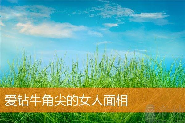 钻牛角尖的人的面相(钻牛角尖的人是什么样的)