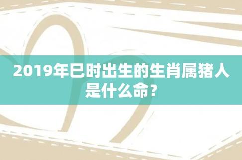 2023年巳时出生的生肖属猪人是什么命?-第1张图片-酷星星