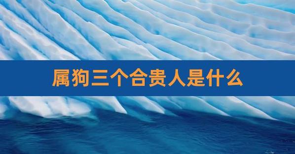 属狗三个合贵人是什么,属鼠的三合贵人是什么