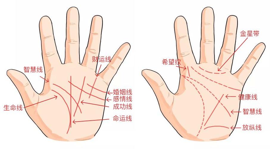 手相学准(看手相分析)