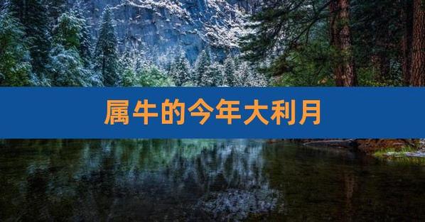 属牛的今年大利月,属牛大利月是几月份