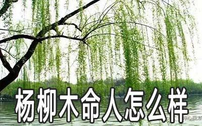 枯柳木命理(枯柳什么意思)