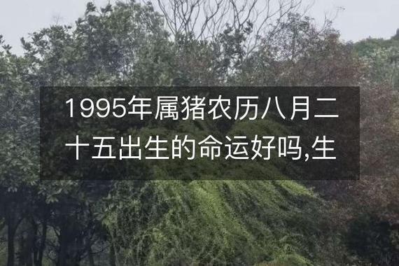 1995年属猪农历八月二十五出生的命运好吗,生辰八字解析