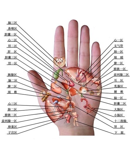 手相身体状况吗(看手相可以看出身体状况吗)