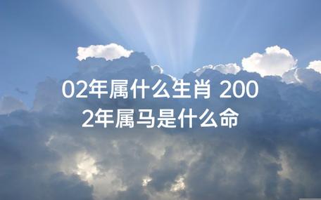 02年属什么生肖 2002年属马是什么命