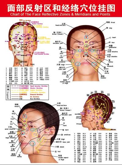 《面部反射区和经络穴位挂图》(刘娅玲 等编著)【简介_书评_在线阅读