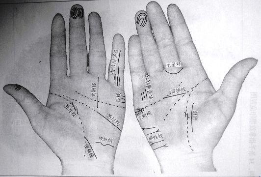 悉尼纹的手相如何 双手悉尼线的说法