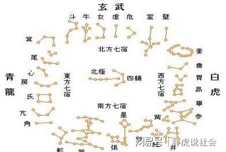 二十八星宿分为几野(梦幻西游二十八星宿刷新地点)