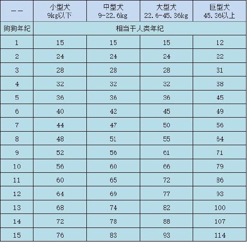 狗的年龄相当于人类的几岁