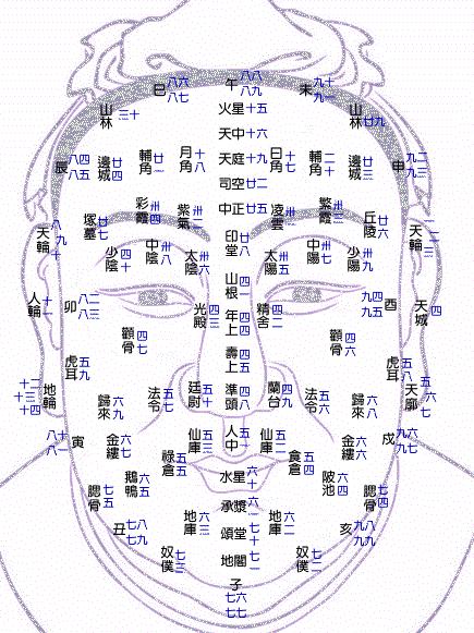 百岁流年图注解,面相流年运势