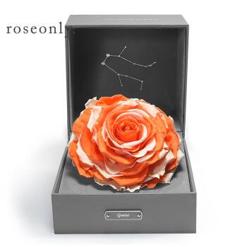 roseonly星座经典双色玫瑰永生花双子座生日礼物节日礼品