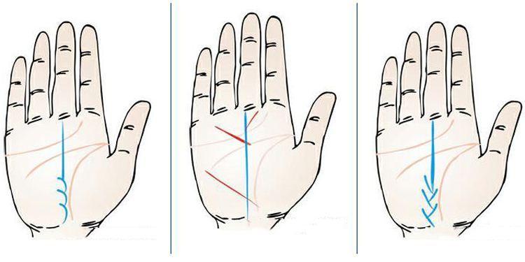 财运线止于感情线(财运线穿过感情线到达智慧线)
