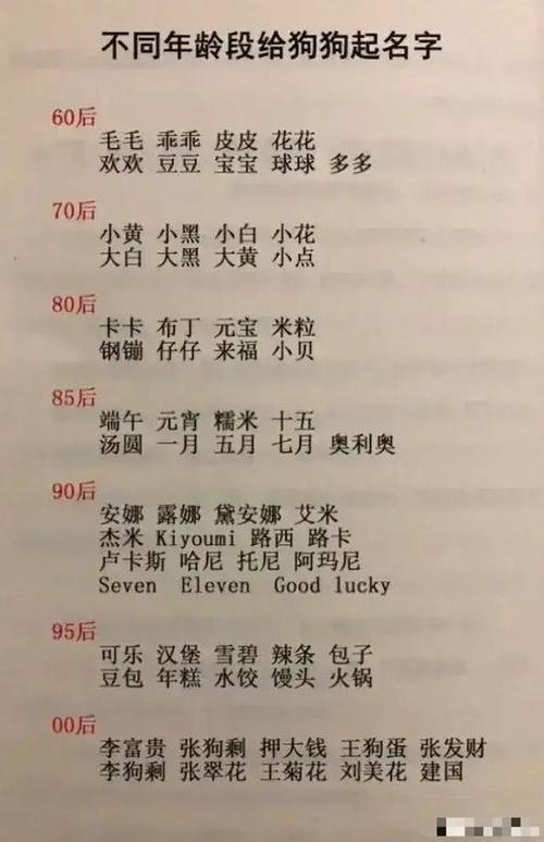 从不同年龄段给狗狗取名字,看社会变迁