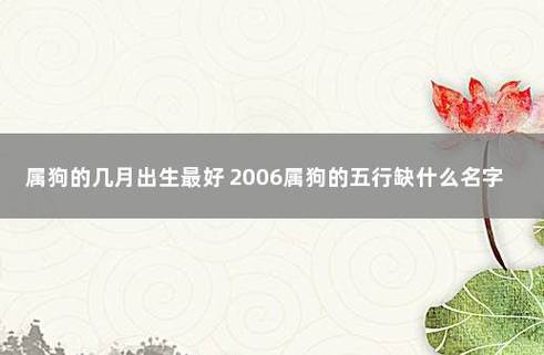 属狗的几月出生最好 2006属狗的五行缺什么名字