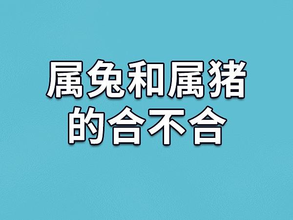 属猪和属兔合不合 属兔和属猪合不合婚