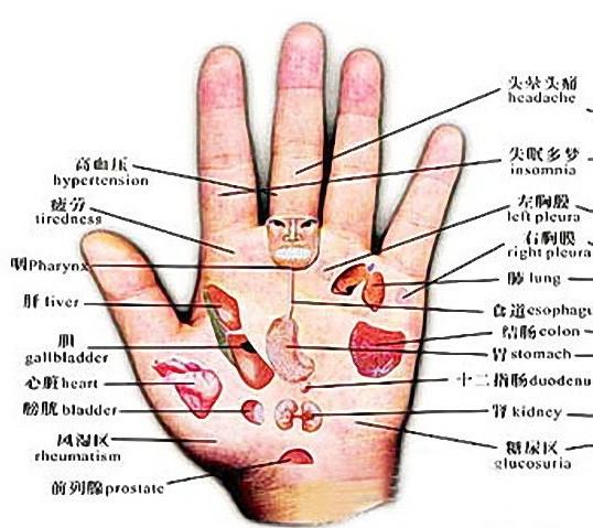 从掌纹看你的身体是否健康